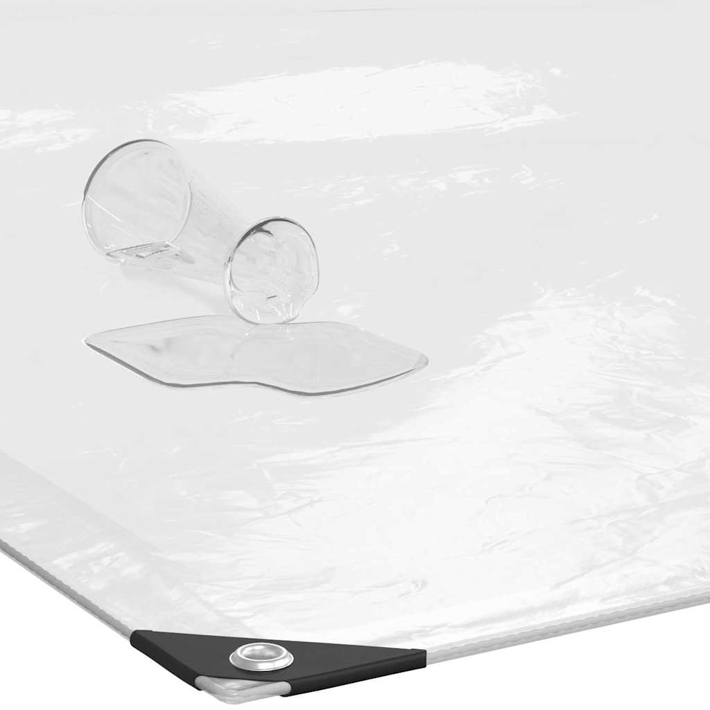 Doorzichtig zeildoek met zeilringen 2x10 m polyethyleen