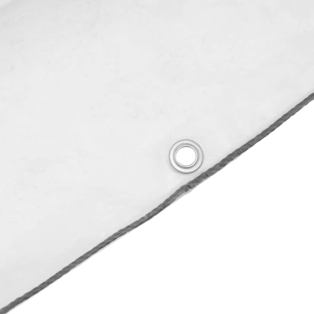 Doorzichtig zeildoek met zeilringen 2x10 m polyethyleen