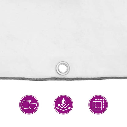 Doorzichtig zeildoek met zeilringen 2x10 m polyethyleen