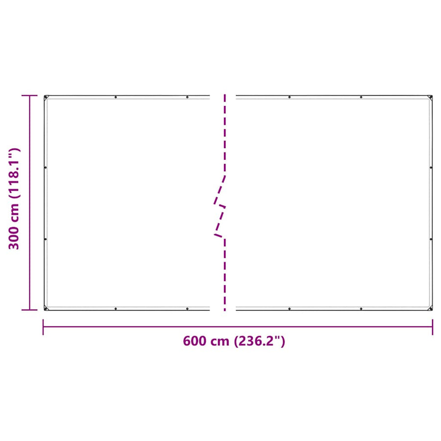 Doorzichtig zeildoek met zeilringen 3x6 m polyethyleen