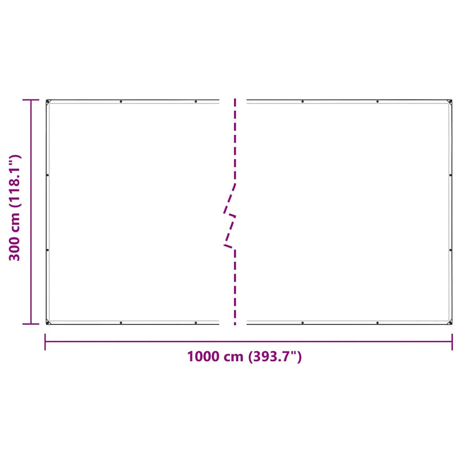 Doorzichtig zeildoek met zeilringen 3x10 m polyethyleen