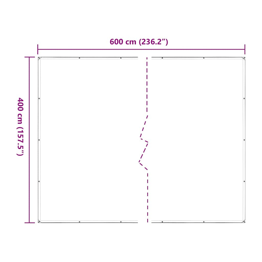 Doorzichtig zeildoek met zeilringen 4x6 m polyethyleen