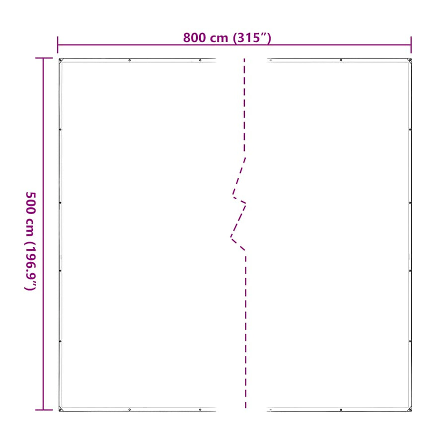 Doorzichtig zeildoek met zeilringen 5x8 m polyethyleen
