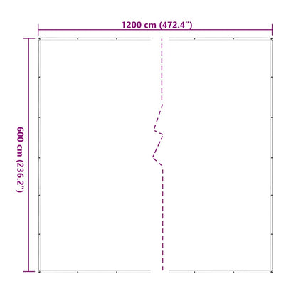Doorzichtig zeildoek met zeilringen 6x12 m polyethyleen