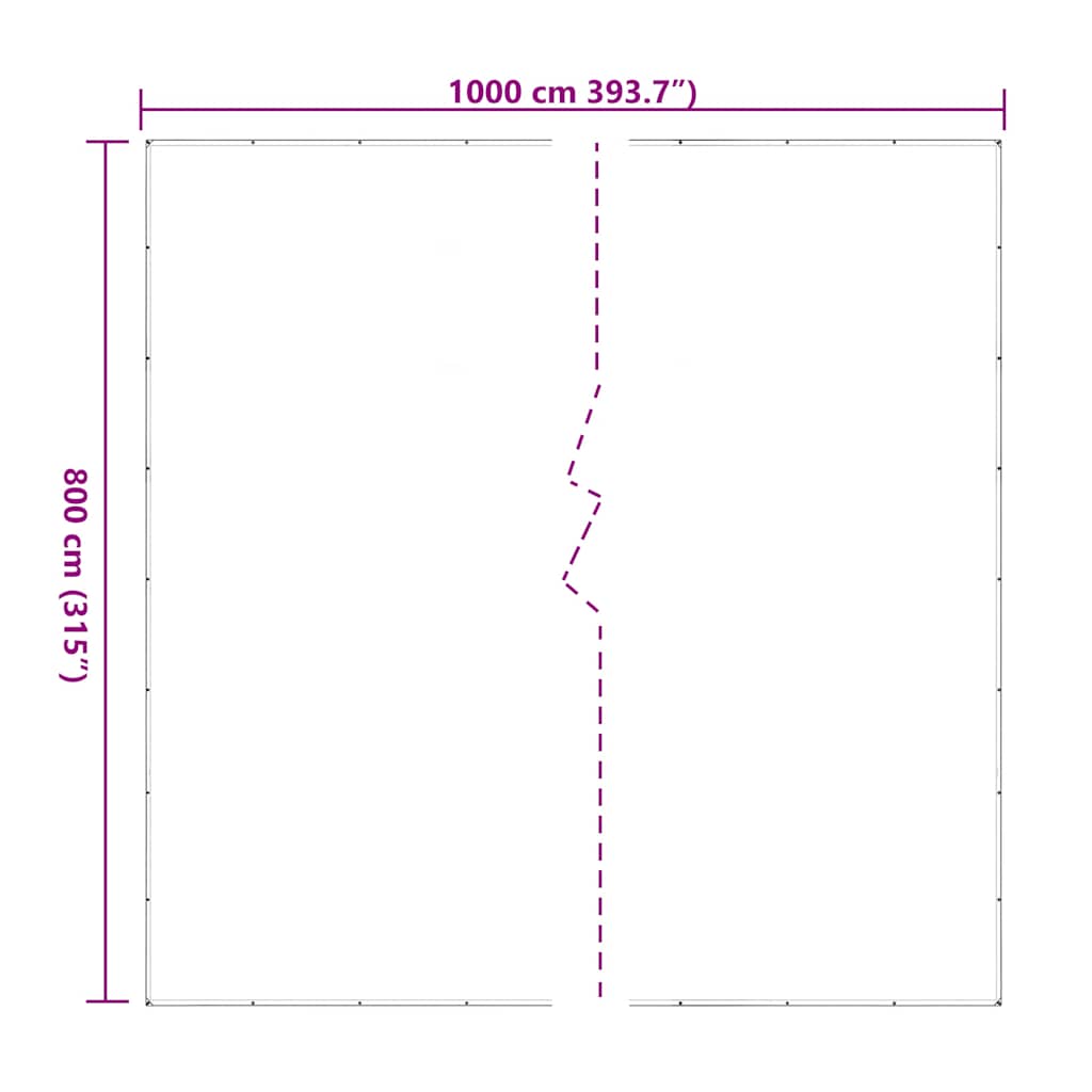Doorzichtig zeildoek met zeilringen 8x10 m polyethyleen