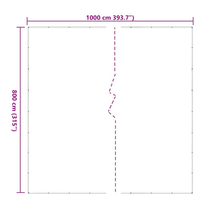 Doorzichtig zeildoek met zeilringen 8x10 m polyethyleen