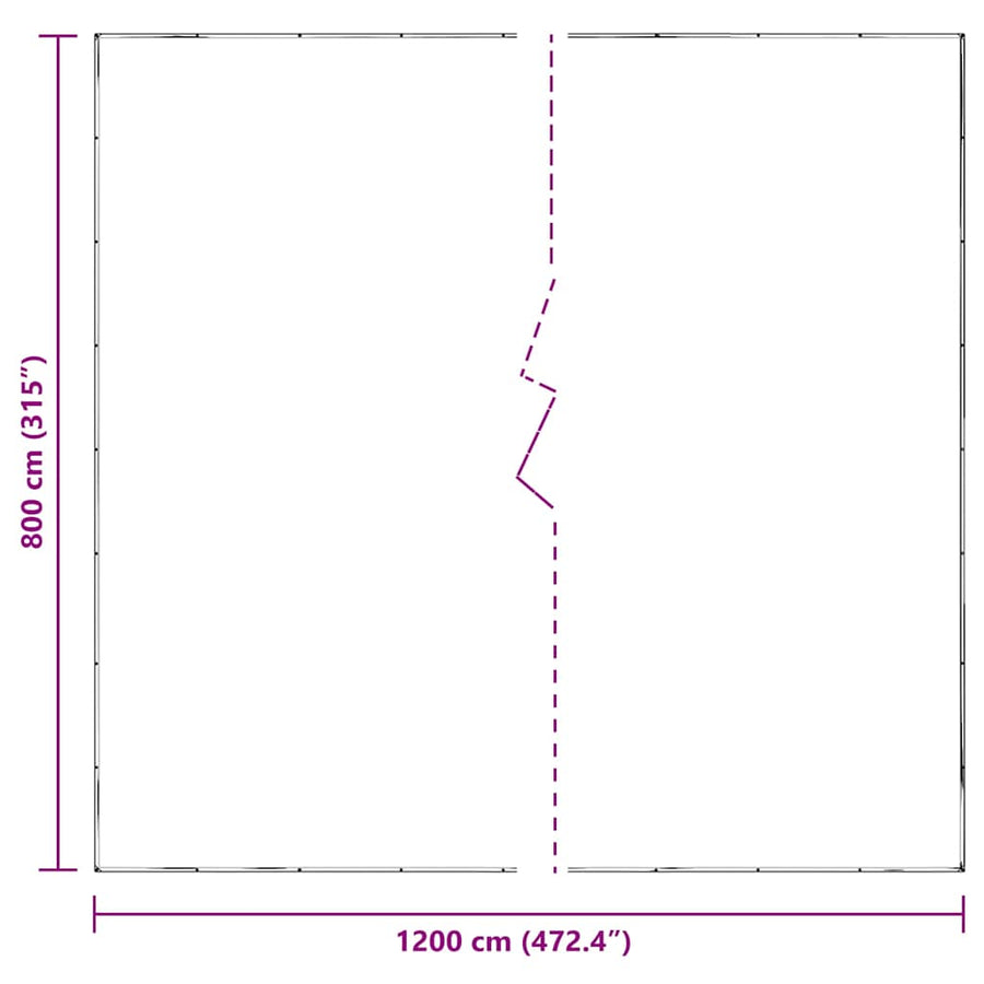 Doorzichtig zeildoek met zeilringen 8x12 m polyethyleen