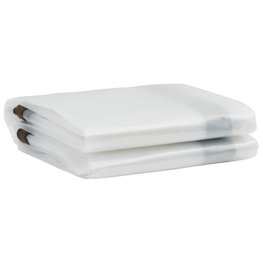 Doorzichtig zeildoek met zeilringen 2x10 m polyethyleen