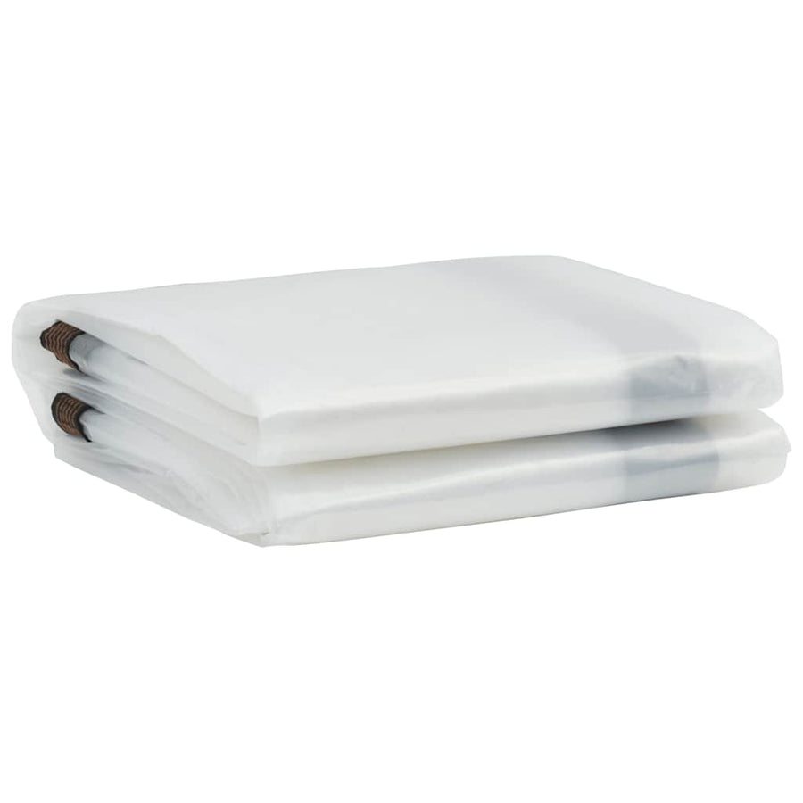 Doorzichtig zeildoek met zeilringen 2x10 m polyethyleen