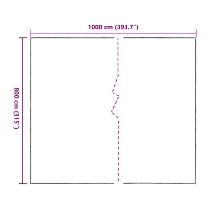 Doorzichtig zeildoek met zeilringen 8x10 m polyethyleen
