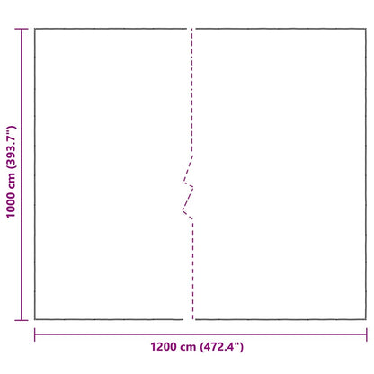 Doorzichtig zeildoek met zeilringen 10x12 m polyethyleen