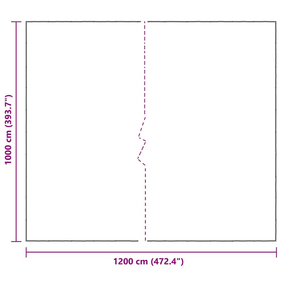 Doorzichtig zeildoek met zeilringen 10x12 m polyethyleen