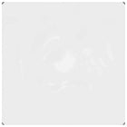 Transparent tarpaulin with eyelets 2x2 m PVC