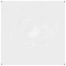 Doorzichtig zeildoek met zeilringen 2x2 m PVC