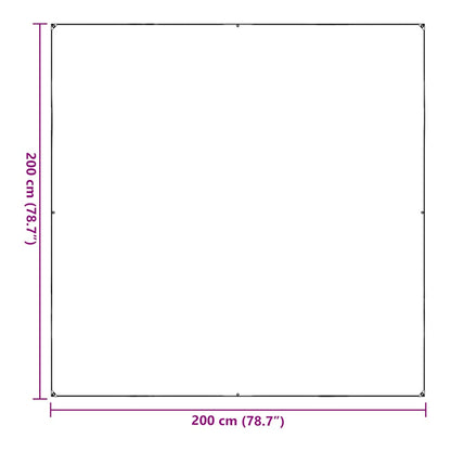 Doorzichtig zeildoek met zeilringen 2x2 m PVC