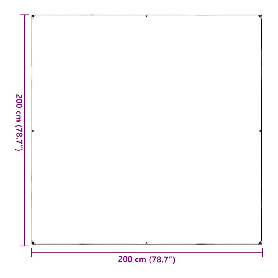 Doorzichtig zeildoek met zeilringen 2x2 m PVC