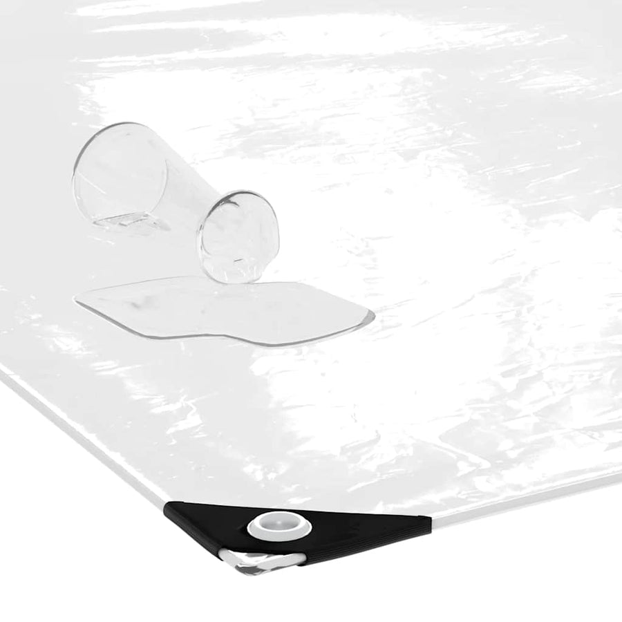 Doorzichtig zeildoek met zeilringen 2x10 m PVC