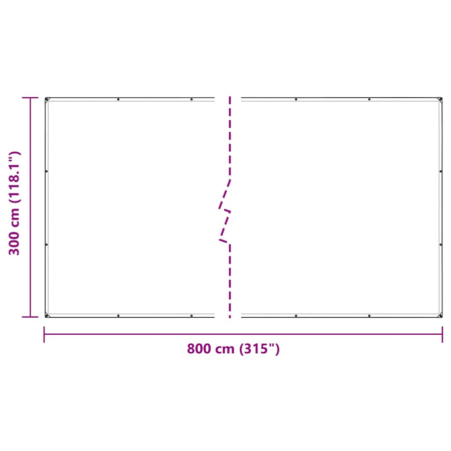 Doorzichtig zeildoek met zeilringen 3x8 m PVC