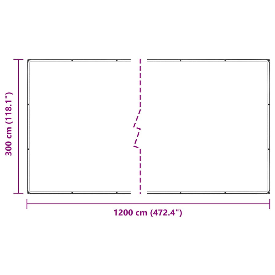 Doorzichtig Zeildoek Met Zeilringen 3X10 M Pvc 3 x 12 m