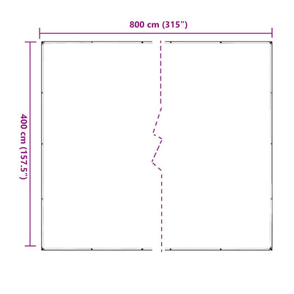 Doorzichtig zeildoek met zeilringen 4x8 m PVC