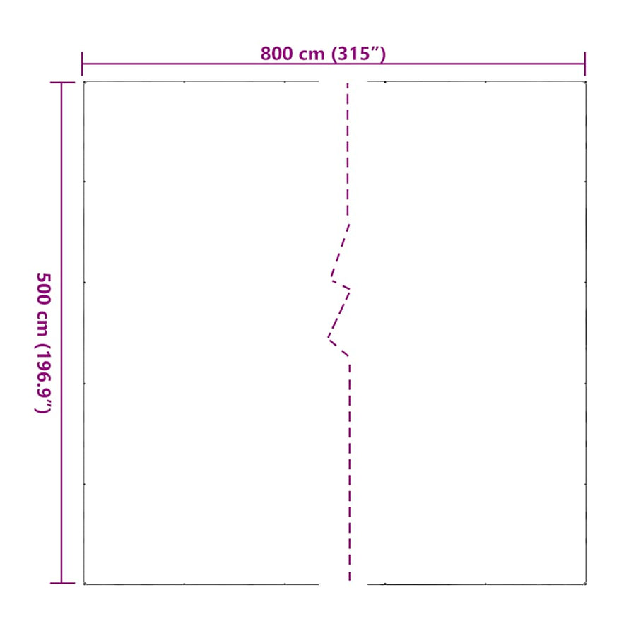 Doorzichtig zeildoek met zeilringen 5x8 m PVC