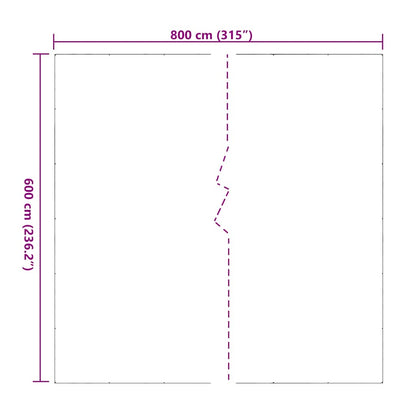 Doorzichtig zeildoek met zeilringen 6x8 m PVC