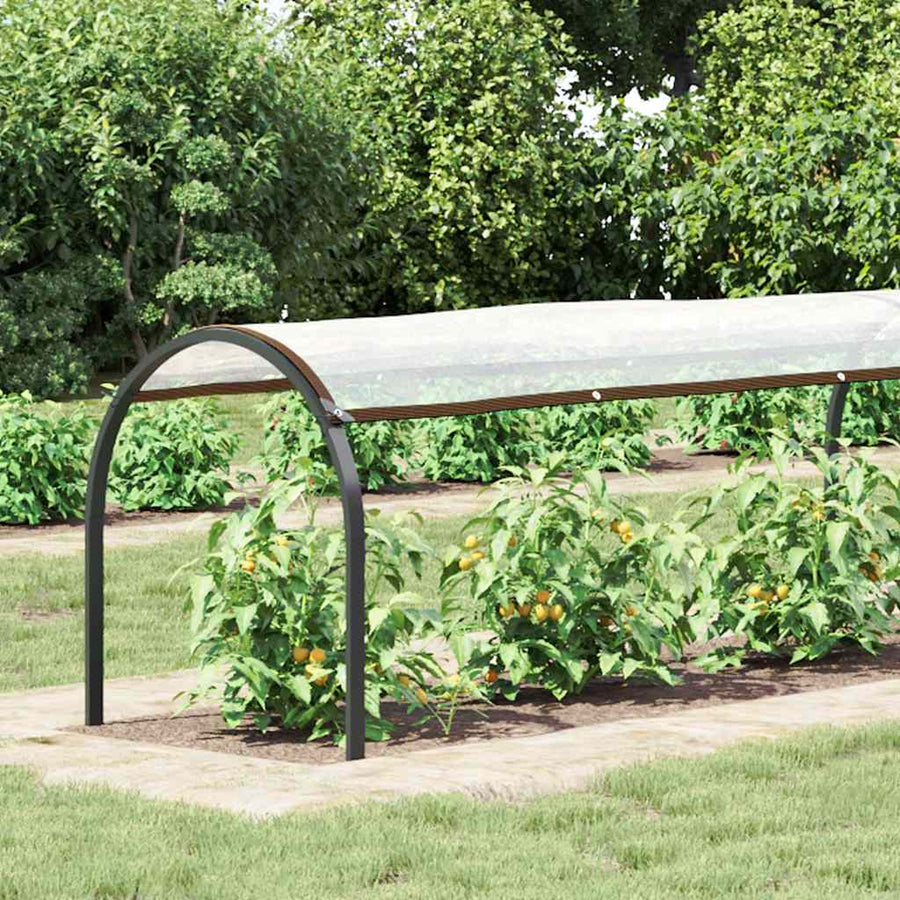 Plantenafdekking met zeilringen 1x10 m polyethyleen