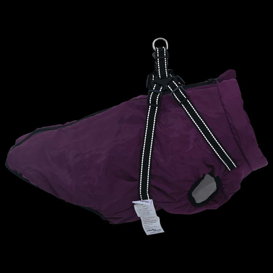 Hondenjas met harnas waterdicht reflecterend paars 3XL