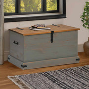 Opbergkist grenenhout grijs 91x48x47 cm