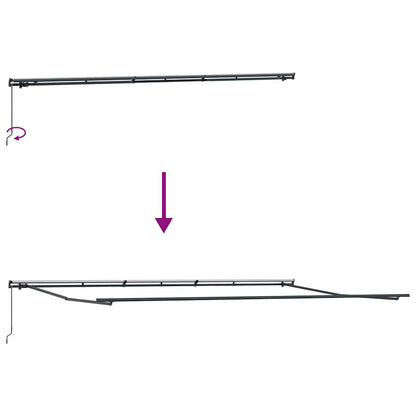 Luifel handmatig uittrekbaar 600x300 cm bordeauxrood