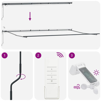 Luifel automatisch uittrekbaar met LED's 600x300 cm bordeaux