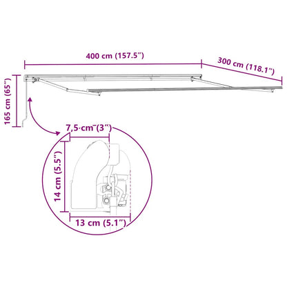 Luifel Handmatig Uittrekbaar 400 x 300 cm