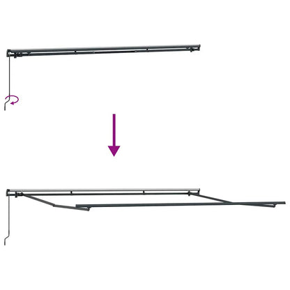 Luifel handmatig uittrekbaar 500x300 cm bruin