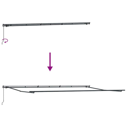 Luifel handmatig uittrekbaar 600x300 cm bruin