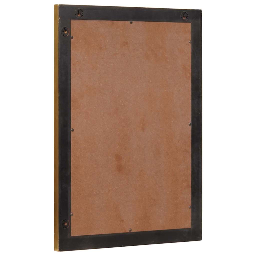 Badkamer Spiegel Wandgemonteerd Zwart en Goud 50 x 2,5 x 70 cm
