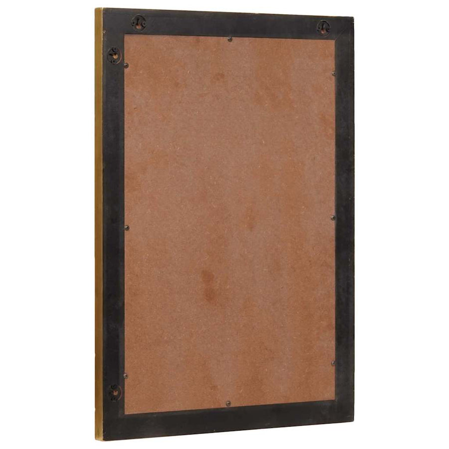 Badkamer Spiegel Wandgemonteerd Zwart en Goud 50 x 2,5 x 70 cm