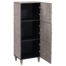 Hoge kast Grijs en Goud 40 x 33 x 110 cm Massief Mango Hout
