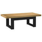 Salontafel 120x60x40 cm massief grenenhout U-poten