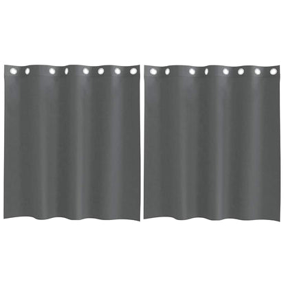 Gordijnen voile met doorvoertules 2 st 140x140 cm donkergrijs
