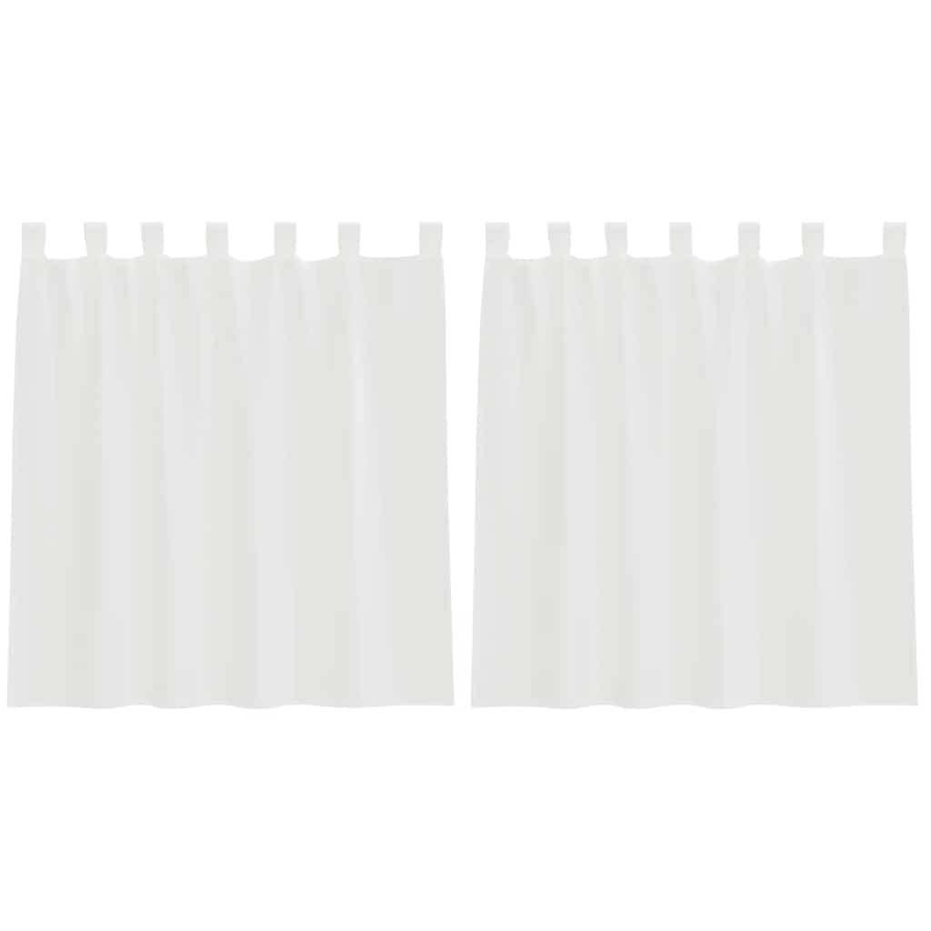 Gordijnen voile met roedezakken 2 st wit