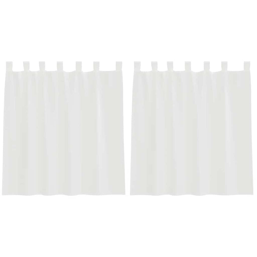 Gordijnen voile met roedezakken 2 st wit