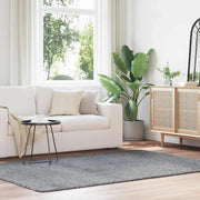 Vloerkleed hoogpolig 160x230 cm polyester zilvergrijs