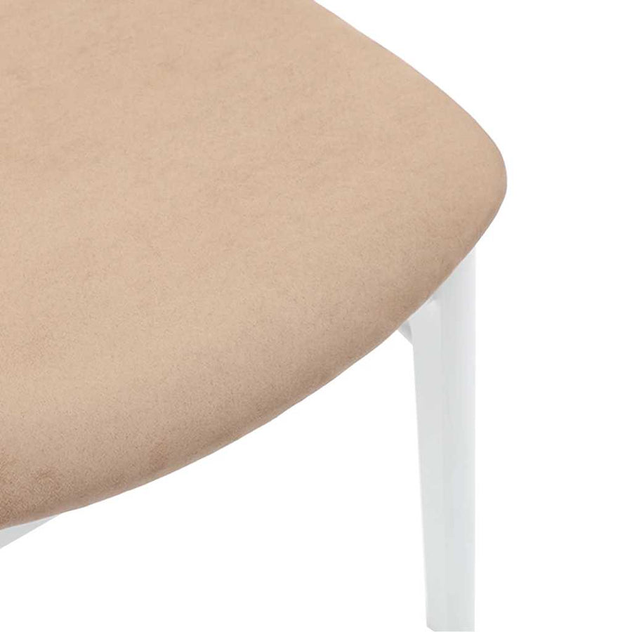 Eetkamerstoelen Met Kussens Massief Hout Rubber Wit en bruin