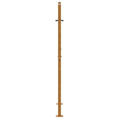Poort met lichtontwerp 105x155 cm weervast staal