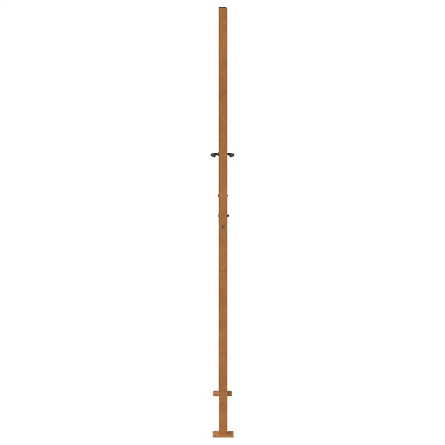 Poort met lichtontwerp 105x205 cm weervast staal