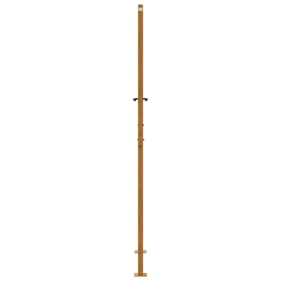Poort met bladontwerp 105x205 cm weervast staal