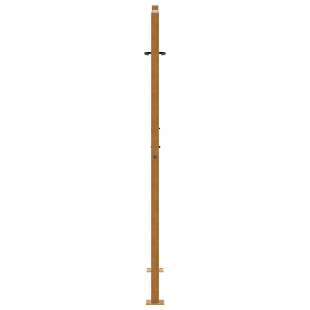 Poort met golfontwerp 105x155 cm weervast staal