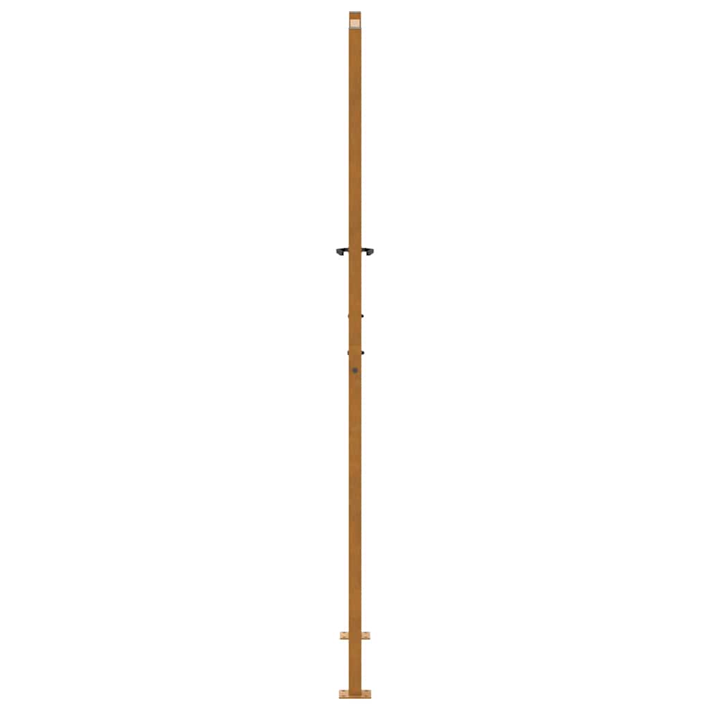 Poort met golfontwerp 105x205 cm weervast staal