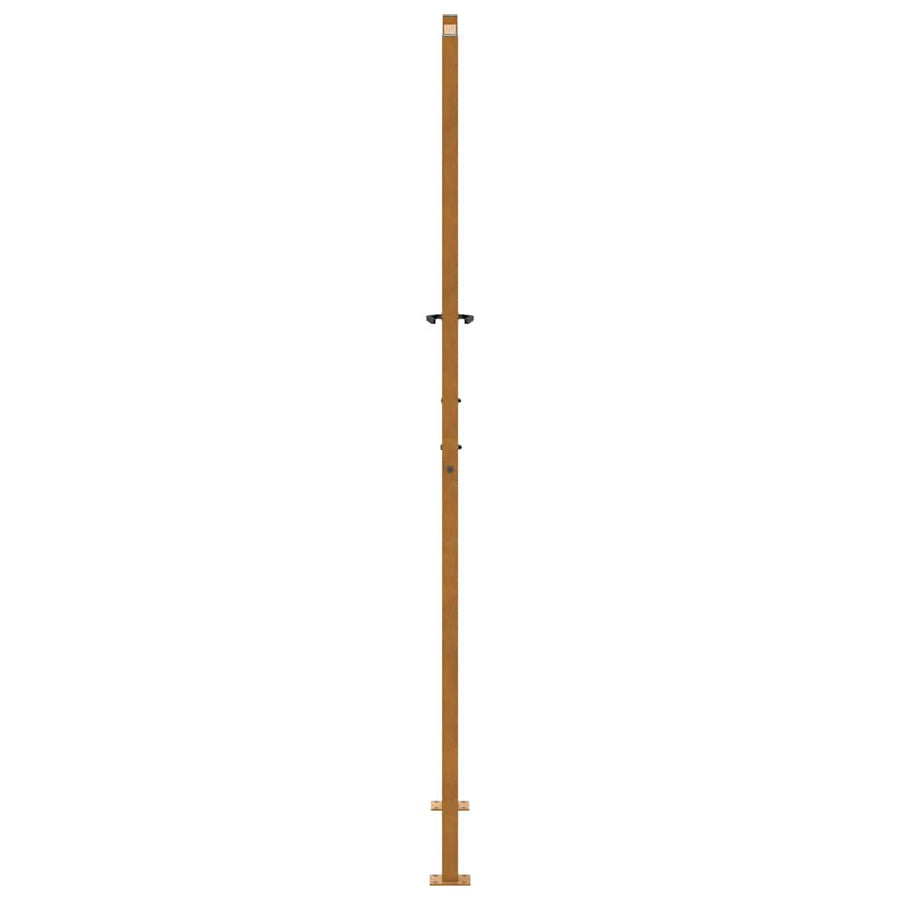 Poort met golfontwerp 105x205 cm weervast staal