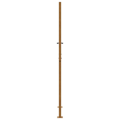 Poort met vlamontwerp 105x205 cm weervast staal